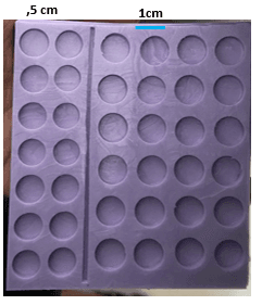 399 placa circulos x24
