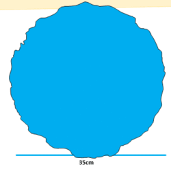 404 individual