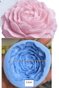 ref.joam60 peonia