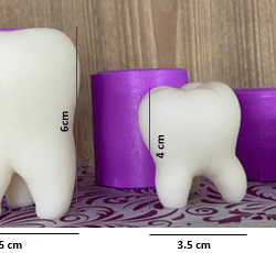 moldes de muelas dientes