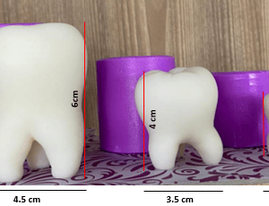 moldes de muelas dientes