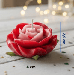 Molde de Rosa REF. J1062