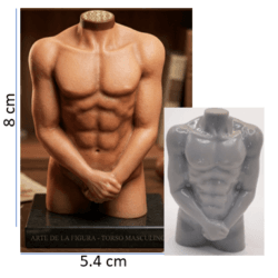 Molde de Silicona Torso de Hombre REF J1088