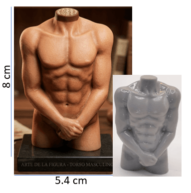 Molde de Silicona Torso de Hombre REF J1088