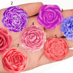 Molde de silicona de flores Individuales Ref.279